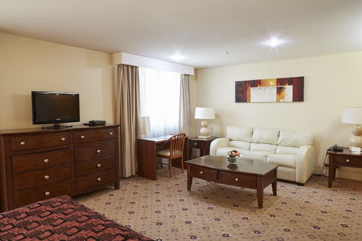 Hotel Torremayor Lyon