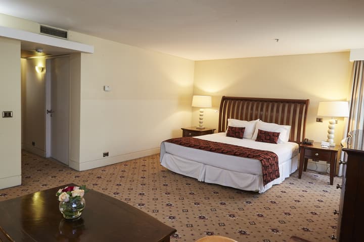 Hotel Torremayor Lyon