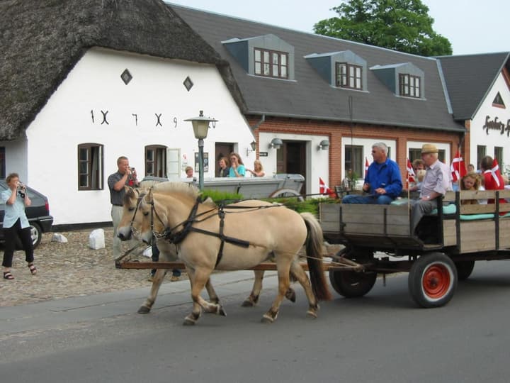 Hotel Hovborg Kro