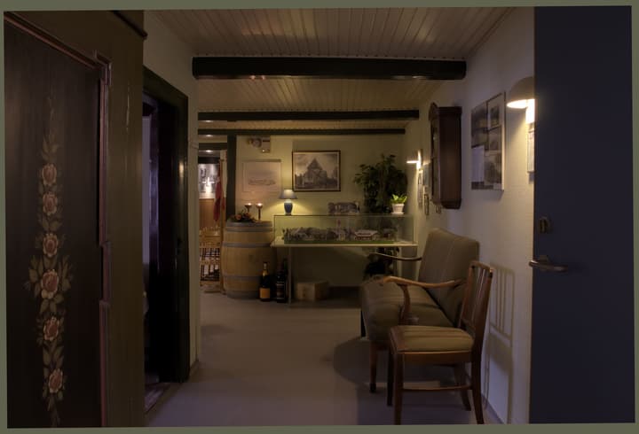 Hotel Hovborg Kro