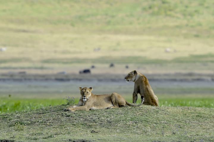 Ngorongoro Serena Safari Lodge