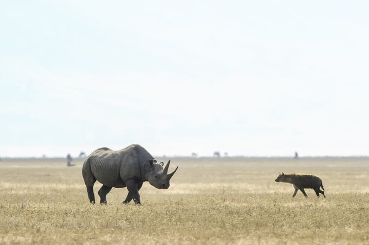 Ngorongoro Serena Safari Lodge