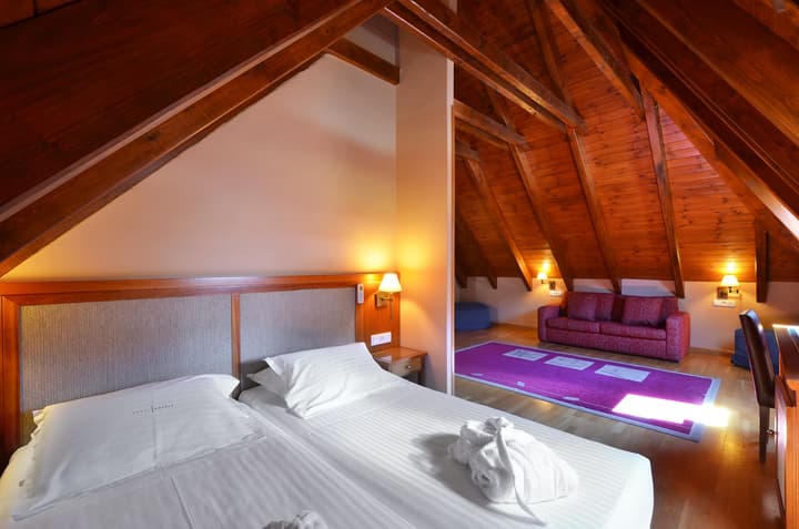 Hotel Acevi Val d'Aran