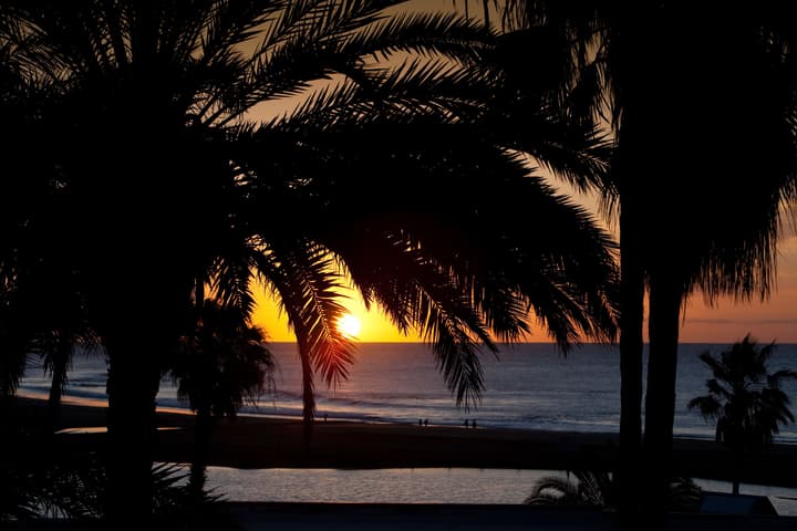 Seaside Palm Beach