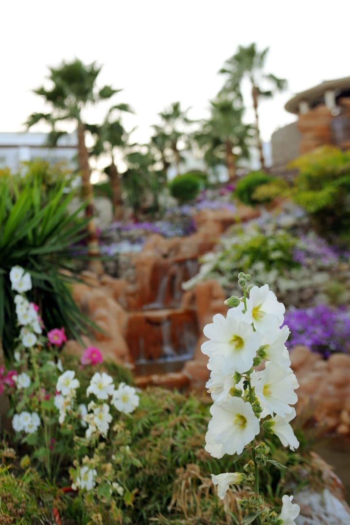 Renaissance Sharm El Sheikh Golden View Beach Resort