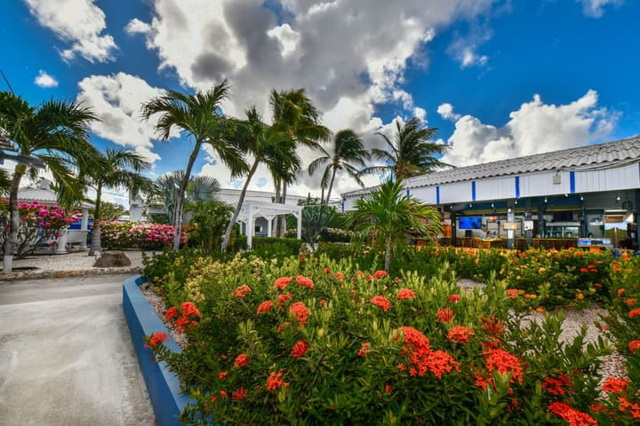 Aruba Blue Village