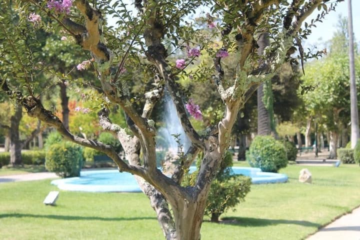 Hotel das Termas Curia