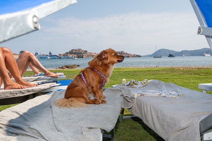 Hotel Airone Isola d'Elba
