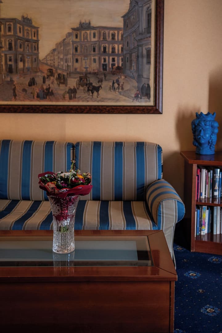 Massimo Plaza Hotel