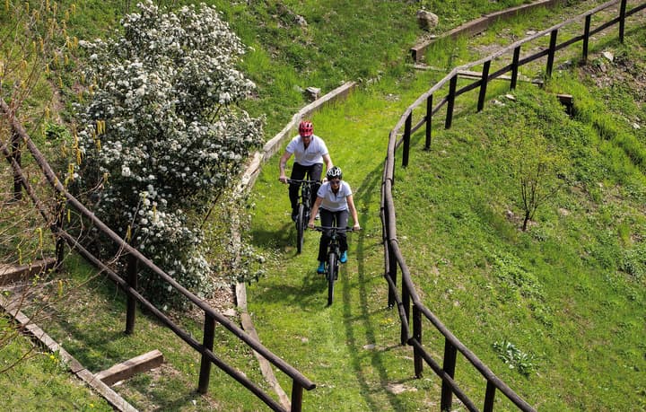 Hotel Resort & Spa Miramonti