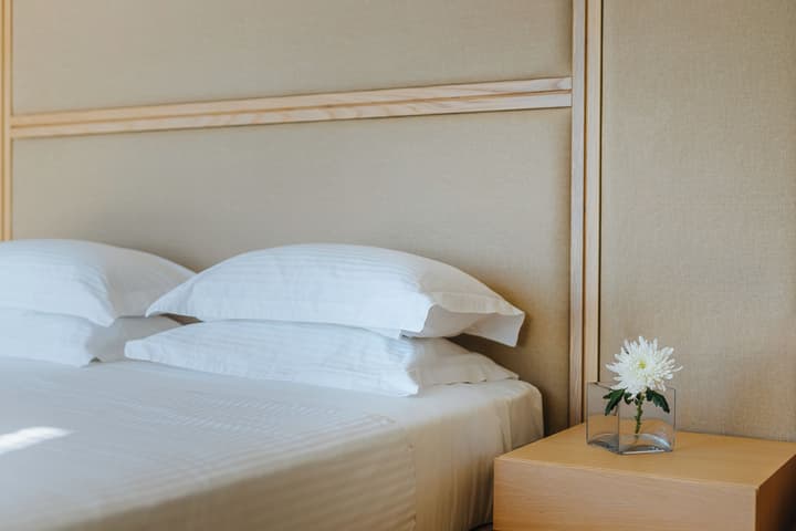 Alion Beach Hotel
