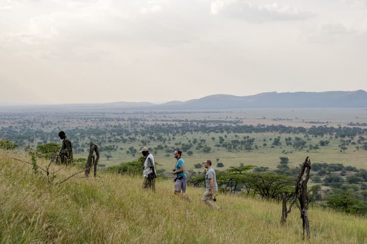 Serengeti Serena Safari Lodge