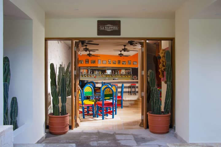 Smart Cancun The Urban Oasis