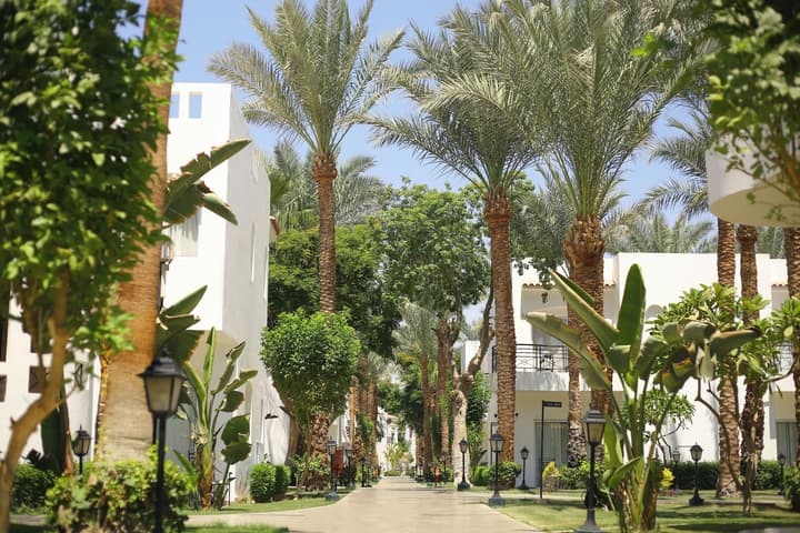 JAZ Fanara Resort - All Inclusive