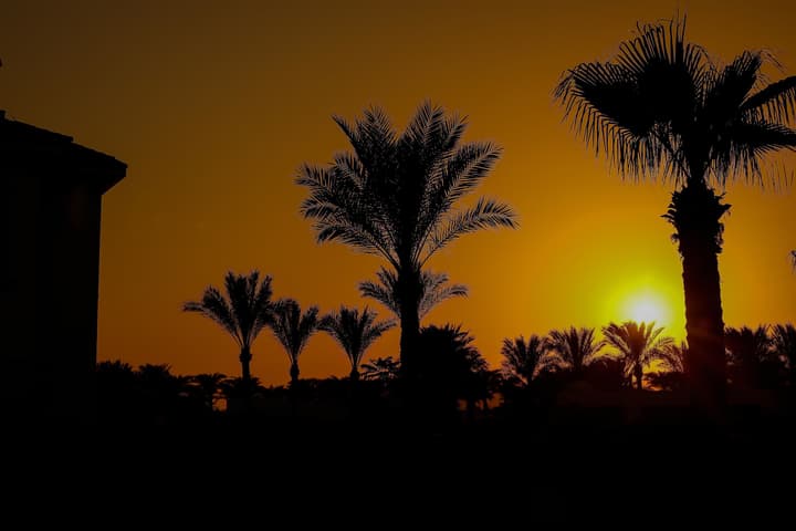 JAZ Fanara Resort - All Inclusive