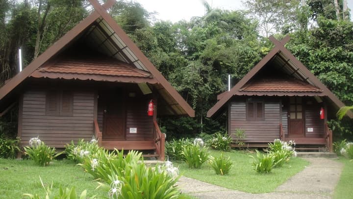 Mutiara Taman Negara