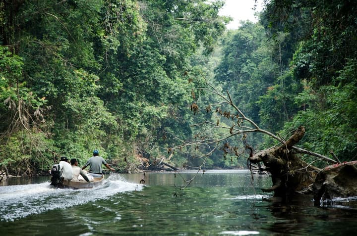 Mutiara Taman Negara