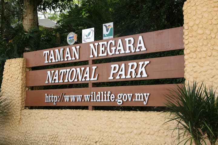 Mutiara Taman Negara