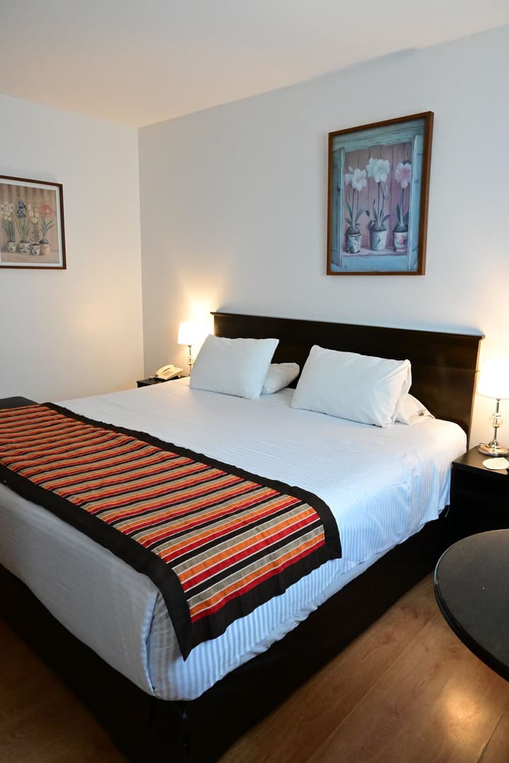 Hotel Mendoza