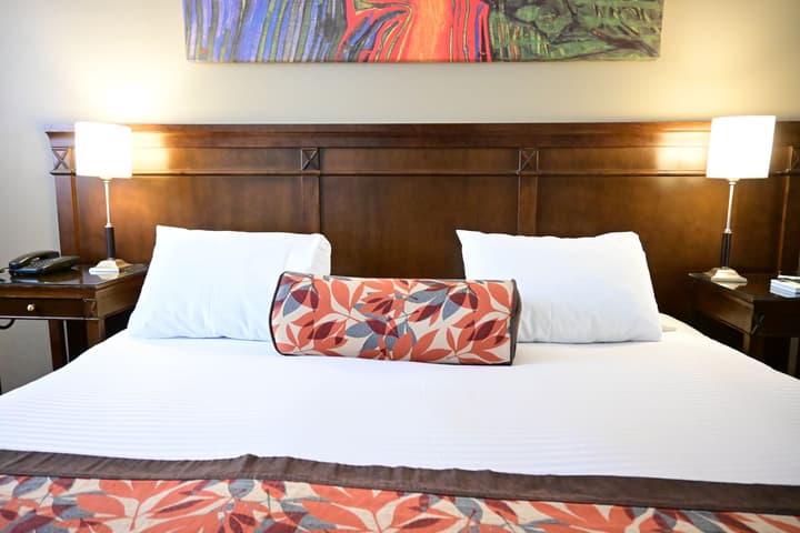 Hotel Mendoza