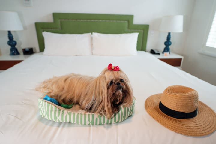 Circa 39 Miami Beach by IHG