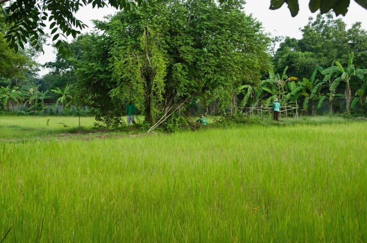 Battambang Resort