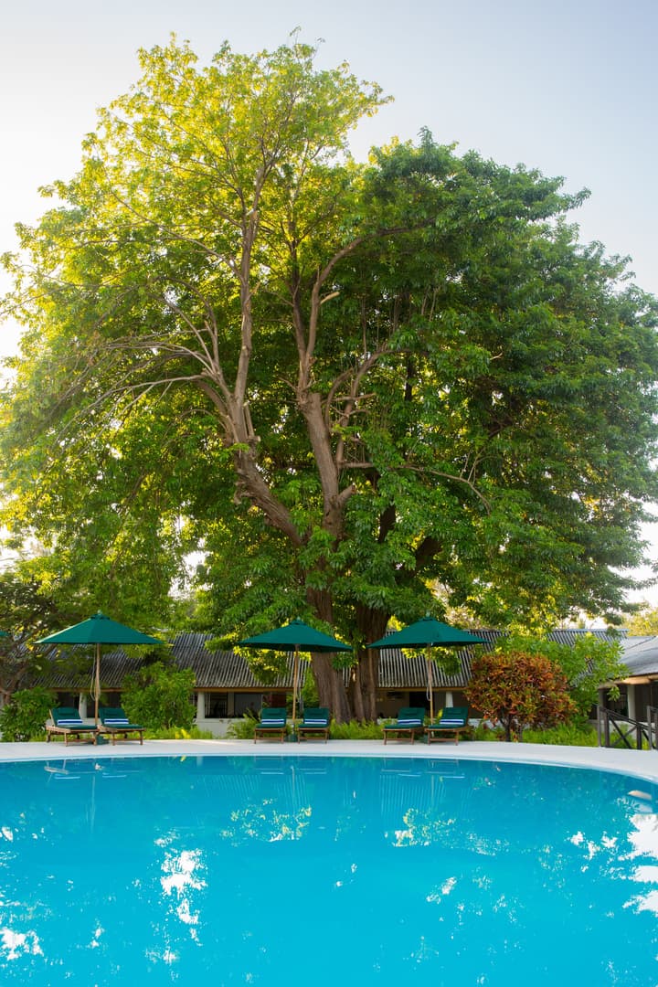 Equator Village