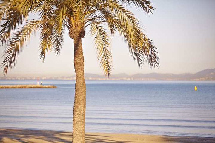 MLL Mediterranean Bay Hotel - Adults Only