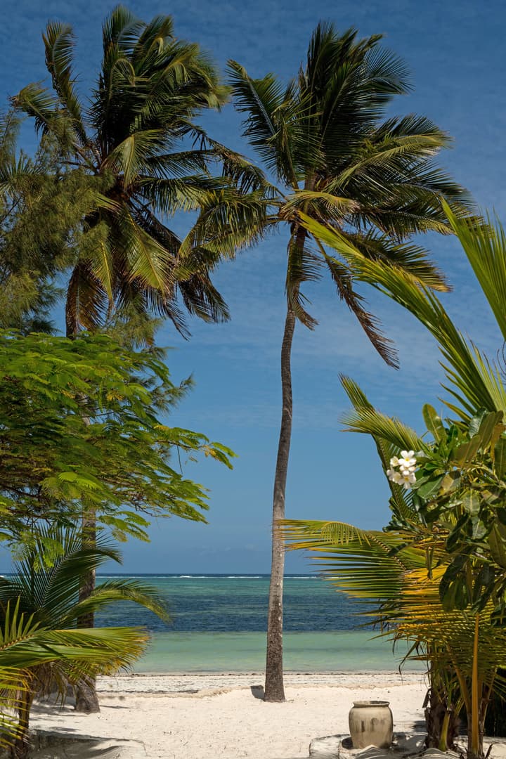 Indigo Beach Zanzibar