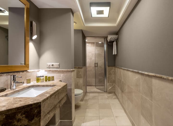 DoubleTree by Hilton Hotel Van