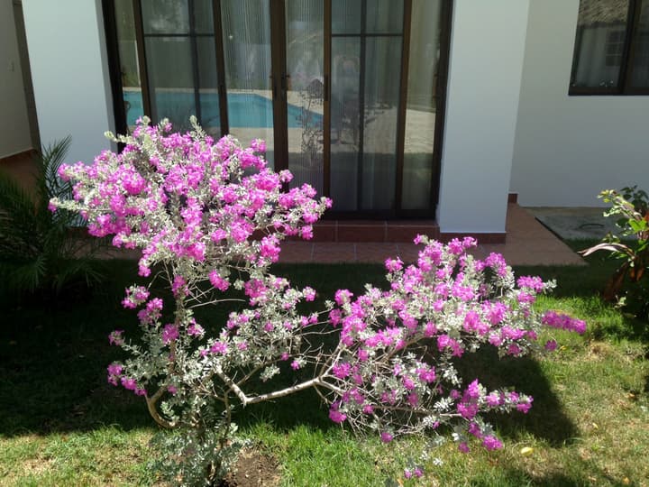 Hotel Coral Blanco