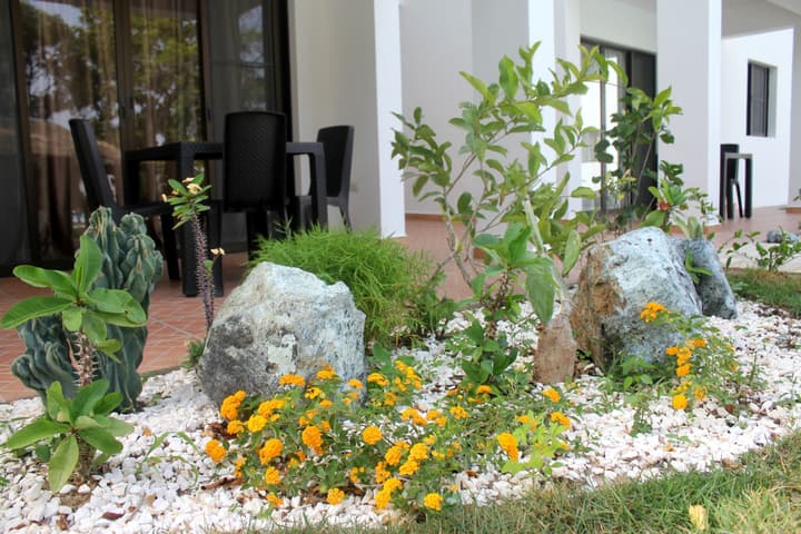 Hotel Coral Blanco