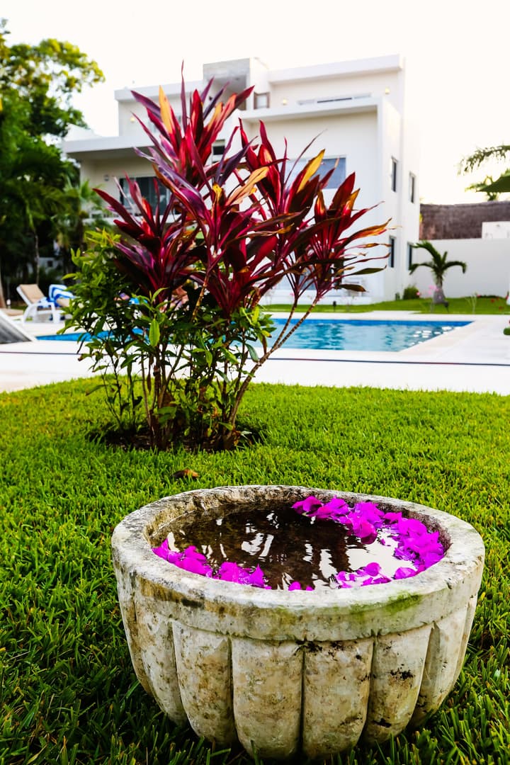 Xscape Tulum