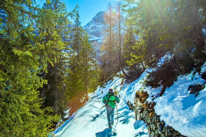 Principe Marmolada