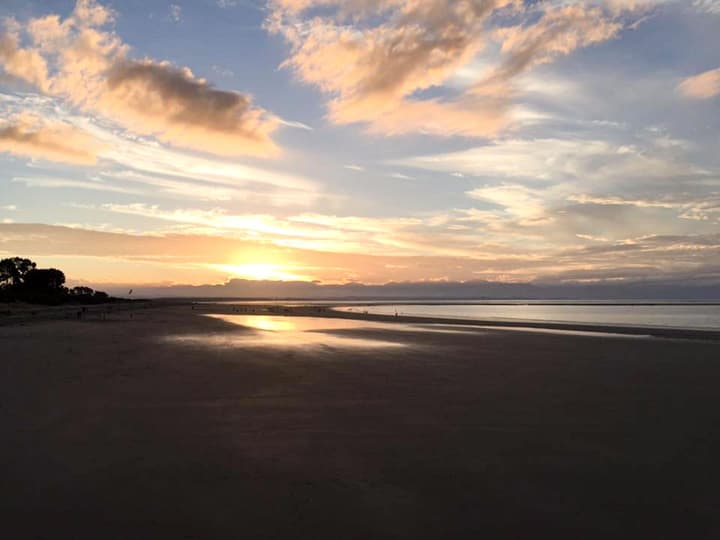 Beaches Nelson