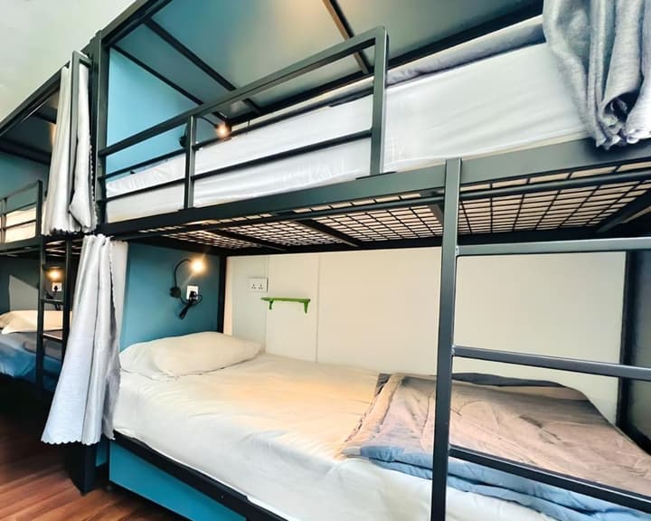 Beary Best! Hostel