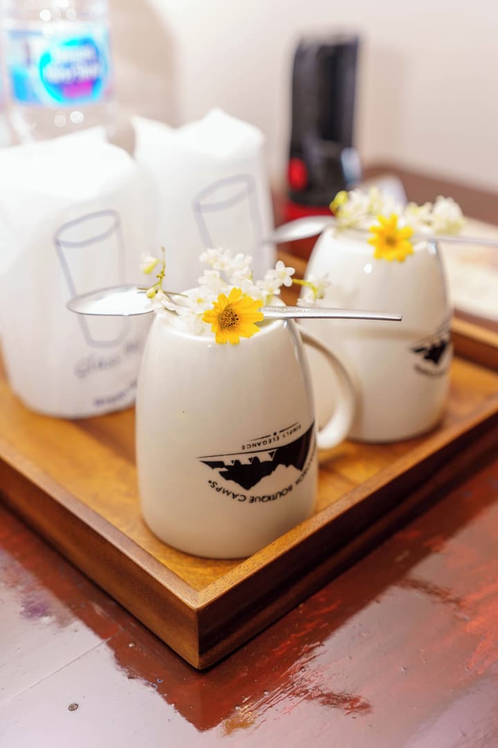 Khaosok Boutique Camps