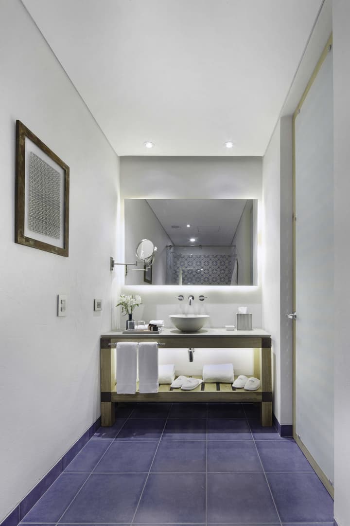 The Artisan D.C. Hotel, Autograph Collection