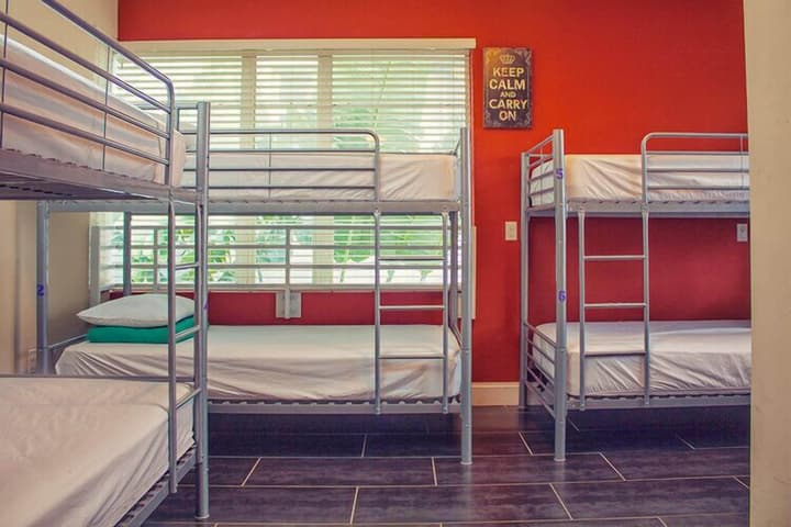 Beds n' Drinks Hostel