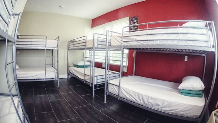Beds n' Drinks Hostel