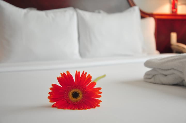 Kingdom Hotel