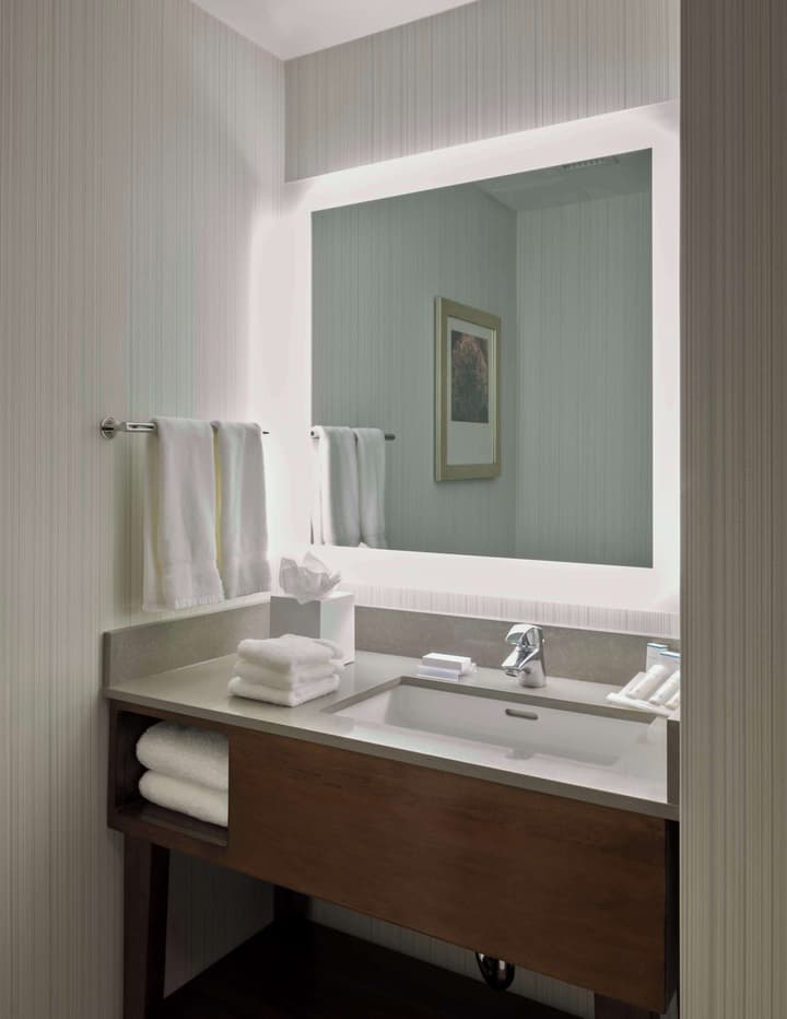 Hilton Garden Inn Long Island City New York