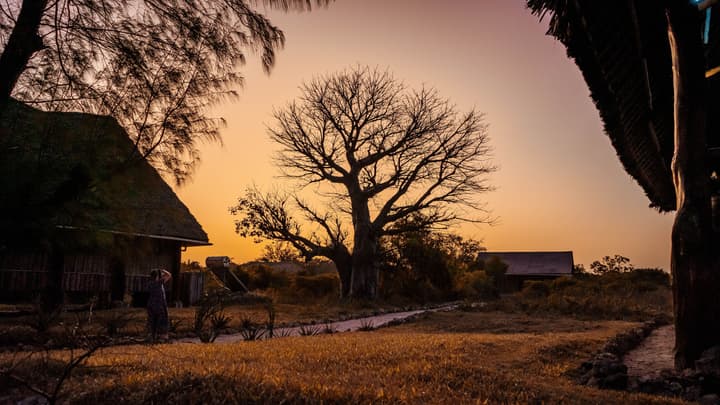 Pemba Eco Lodge