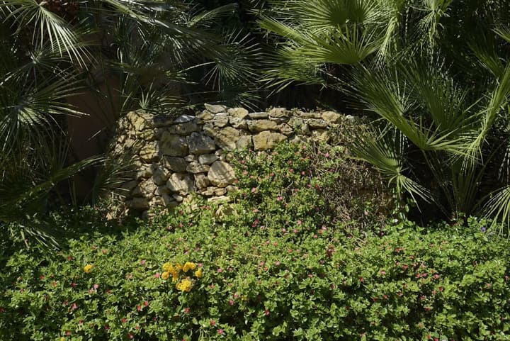 Residence Oasis