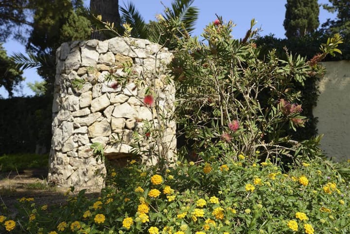 Residence Oasis
