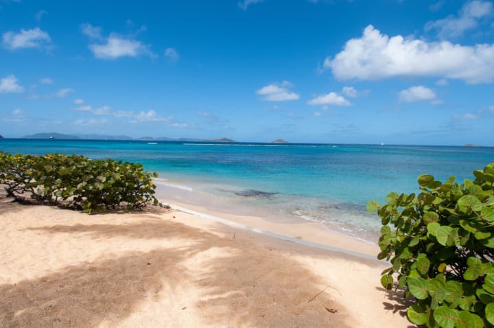 Mango Bay Resort