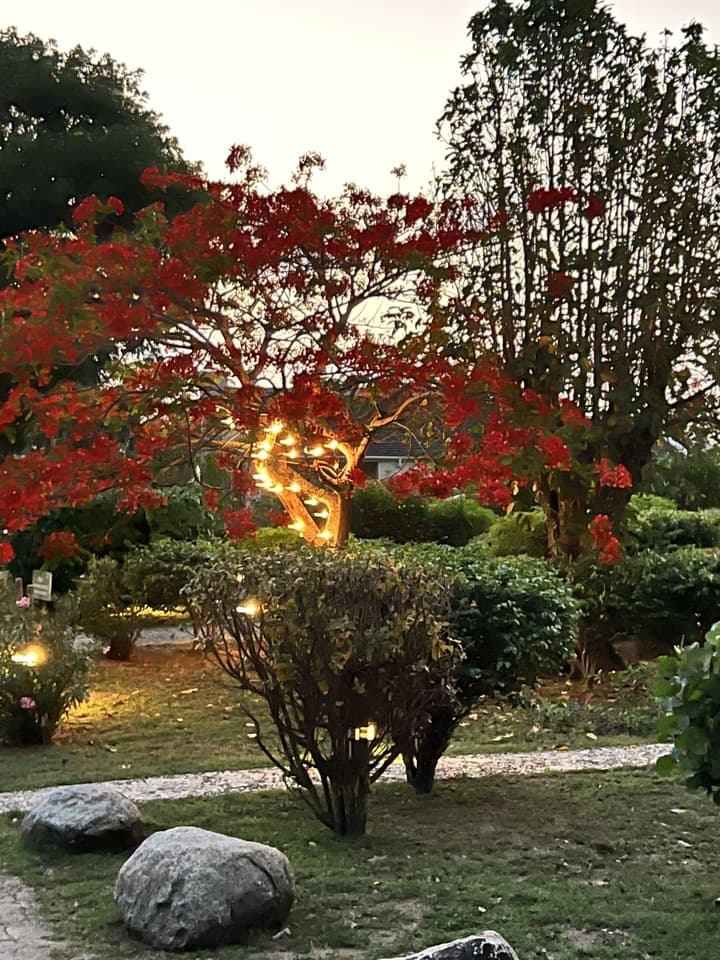 Mango Bay Resort