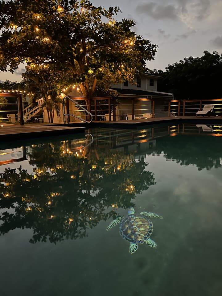Mango Bay Resort