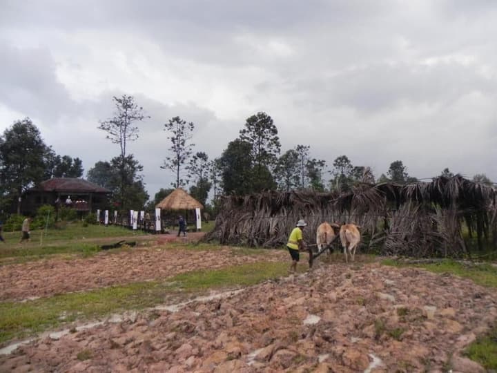 Bong Thom Home Stay