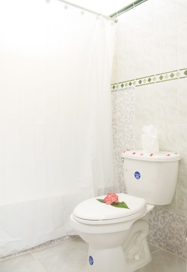 Hotel Cortecito Inn Bavaro